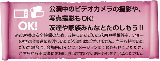 公演中のビデオカメラの撮影や、写真撮影もOK！友達や家族みんなと楽しもう！