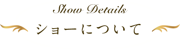 ショーについて
