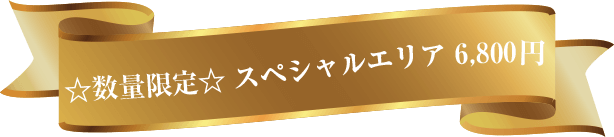 数量限定 スペシャルエリア 6800円 